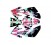 Pegatinas CRF70 2014 3M MonsterPRO M4