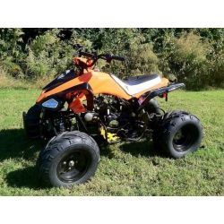 Atv Quad BIG FOOD 125cc 4t con mando
