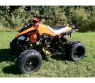 Atv Quad BIG FOOD 125cc 4t con mando