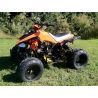 Atv Quad BIG FOOD 125cc 4t con mando