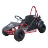 Mini Kart cross buggy 80cc 4t Ruedas 6"