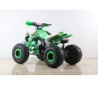 Atv Quad BIG FOOD 125cc 4t sin marchas