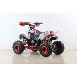 Atv Quad SPORT 110cc 4t Automatico
