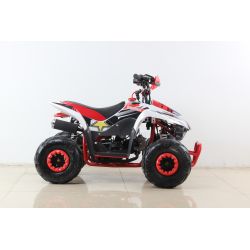 Atv Quad SPORT 110cc 4t Automatico