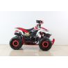 Atv Quad SPORT 110cc 4t Automatico