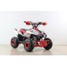 Atv Quad SPORT 110cc 4t Automatico