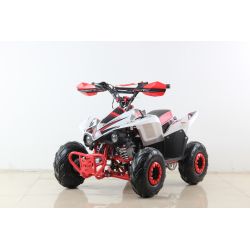 Atv Quad SPORT 110cc 4t Automatico