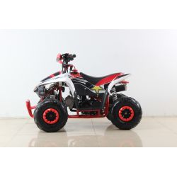 Atv Quad SPORT 110cc 4t Automatico