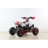 Atv Quad SPORT 110cc 4t Automatico