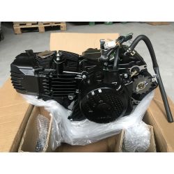 Nuevo Z190cc 2V