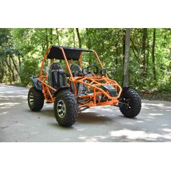 Super Buggy 200cc adulto marcha alante y marcha atras