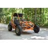 Super Buggy 200cc adulto marcha alante y marcha atras