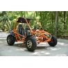 Super Buggy 200cc adulto marcha alante y marcha atras