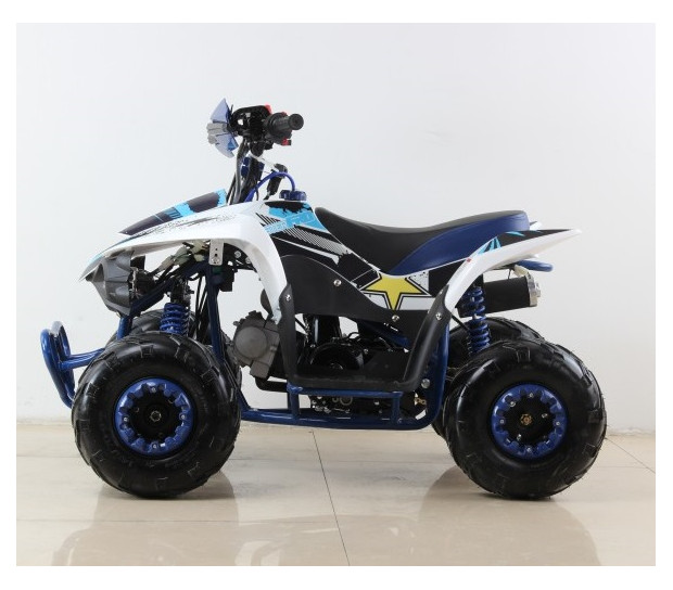 Buggy Biplaza con Motor 125cc – Quad Gasolina para Niños Niñas