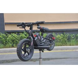 Bicicleta electrica GORAL 200W 5ah Litio Ruedas 12" desde 2 años