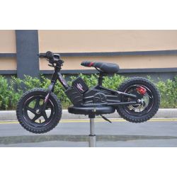 Bicicleta electrica GORAL 200W 5ah Litio Ruedas 12" desde 2 años