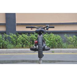 Bicicleta electrica GORAL 200W 5ah Litio Ruedas 12" desde 2 años