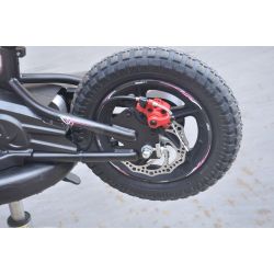 Bicicleta electrica GORAL 200W 5ah Litio Ruedas 12" desde 2 años