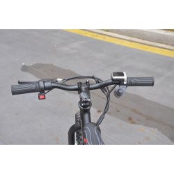 Bicicleta electrica GORAL 200W 5ah Litio Ruedas 12" desde 2 años