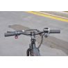 Bicicleta electrica GORAL 200W 5ah Litio Ruedas 12" desde 2 años