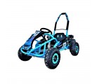 Mini Kart cross Buggy 1000W ruedas 6