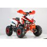 Atv Quad Super BIG  food 430  125cc 4t SIN MARCHAS