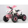 Atv Quad Super BIG  food 430  125cc 4t SIN MARCHAS