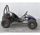 Mini Kart cross Buggy 1000W ruedas 6