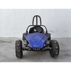 Mini Kart cross Buggy 1000W ruedas 6
