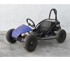 Mini Kart cross Buggy 48V 20ah 1000W ruedas 6