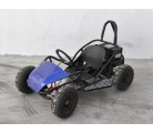 Mini Kart cross Buggy 1000W ruedas 6