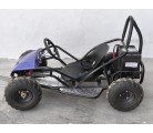 Mini Kart cross Buggy 1000W ruedas 6