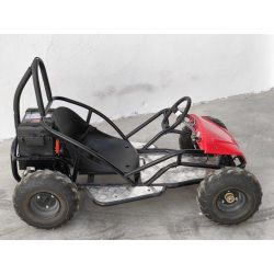 Mini Kart cross Buggy 1000W ruedas 6
