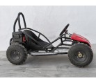 Mini Kart cross Buggy 1000W ruedas 6