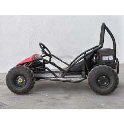 Mini Kart cross Buggy 1000W ruedas 6
