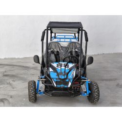 Buggy Biplaza tuner 1500W electrico