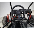 Buggy Biplaza tuner 1500W electrico