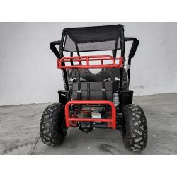 Buggy Biplaza tuner 1500W electrico
