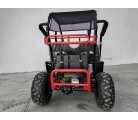 Buggy Biplaza tuner 1500W electrico