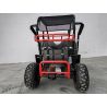 Buggy Biplaza tuner 1500W electrico