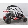 Buggy Biplaza tuner 1500W electrico