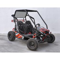 Buggy Biplaza tuner 1500W electrico