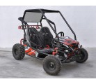 Buggy Biplaza tuner 1500W electrico