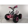 Atv Quad BIG FOOD Ruedas 8 125cc 4t con 3 marchas adelante mas marcha atras