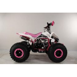 Atv Quad BIG FOOD Ruedas 8 125cc 4t con 3 marchas adelante mas marcha atras