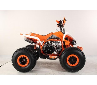 Atv Quad BIG FOOD Ruedas 8 125cc 4t con 3 marchas adelante mas marcha atras