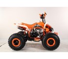 Atv Quad BIG FOOD Ruedas 8 125cc 4t con 3 marchas adelante mas marcha atras