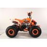 Atv Quad BIG FOOD Ruedas 8 125cc 4t con 3 marchas adelante mas marcha atras