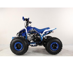 Atv Quad BIG FOOD Ruedas 8 125cc 4t con 3 marchas adelante mas marcha atras