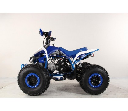 Atv Quad BIG FOOD Ruedas 8 125cc 4t con 3 marchas adelante mas marcha atras